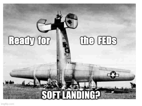 Ready  for                the  FEDs; SOFT LANDING? | image tagged in SilverDegenClub | made w/ Imgflip meme maker