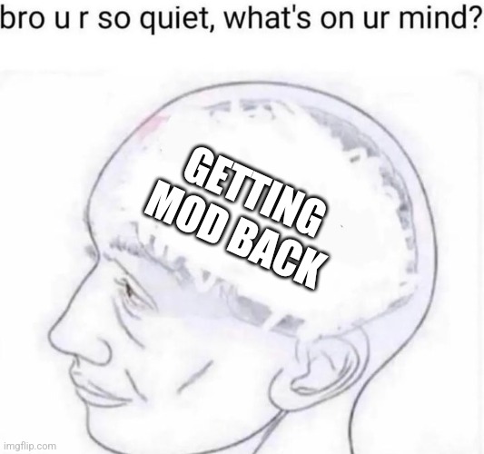 Bro you're so quiet | GETTING MOD BACK | image tagged in bro you're so quiet | made w/ Imgflip meme maker