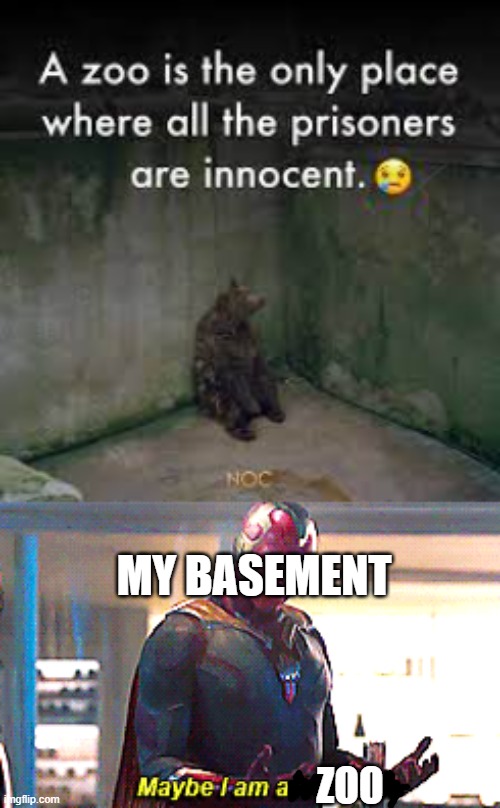  MY BASEMENT; ZOO | image tagged in maybe i am a monster,basement,prison | made w/ Imgflip meme maker