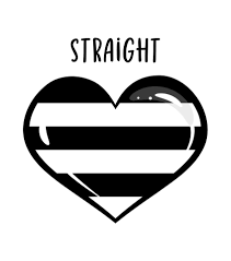 Straight Pride Blank Meme Template