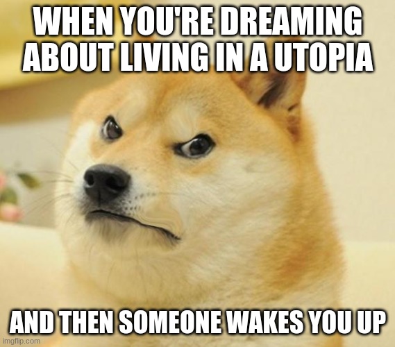 Mad doge | WHEN YOU'RE DREAMING ABOUT LIVING IN A UTOPIA; AND THEN SOMEONE WAKES YOU UP | image tagged in mad doge | made w/ Imgflip meme maker
