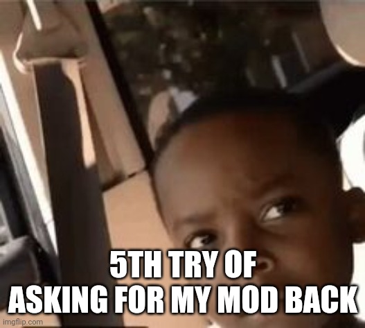 what | 5TH TRY OF ASKING FOR MY MOD BACK | image tagged in what | made w/ Imgflip meme maker