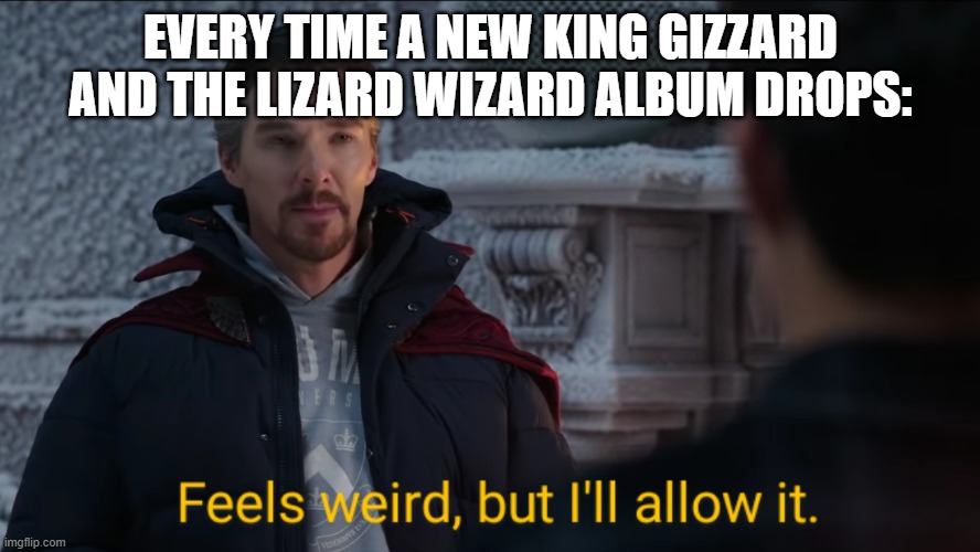 Feels Weird, but I'll Allow It. | EVERY TIME A NEW KING GIZZARD AND THE LIZARD WIZARD ALBUM DROPS: | image tagged in feels weird but i'll allow it | made w/ Imgflip meme maker