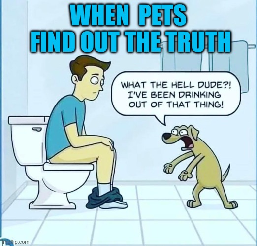 WHEN  PETS
 FIND OUT THE TRUTH | made w/ Imgflip meme maker