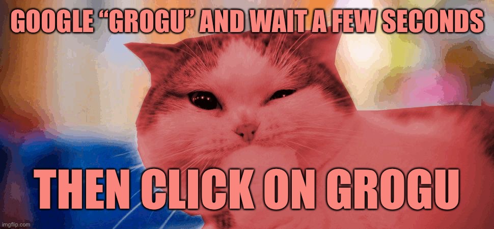 RayCat laughing | GOOGLE “GROGU” AND WAIT A FEW SECONDS; THEN CLICK ON GROGU | image tagged in raycat laughing,memes | made w/ Imgflip meme maker