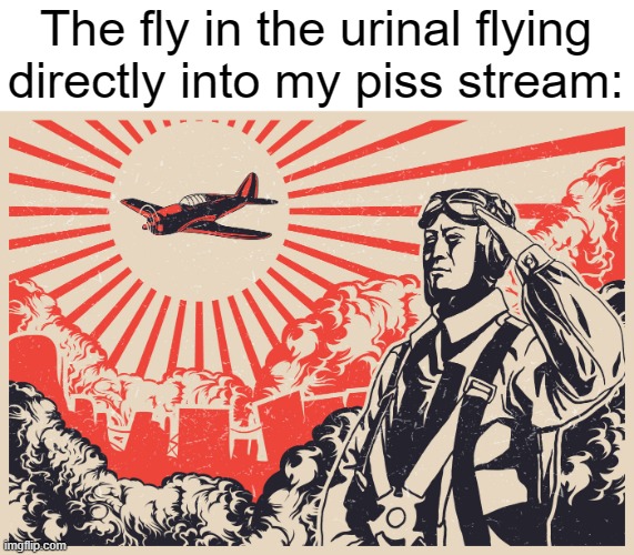 Imperial Japanese Kamikaze Pilot Propaganda Poster | The fly in the urinal flying directly into my piss stream: | made w/ Imgflip meme maker