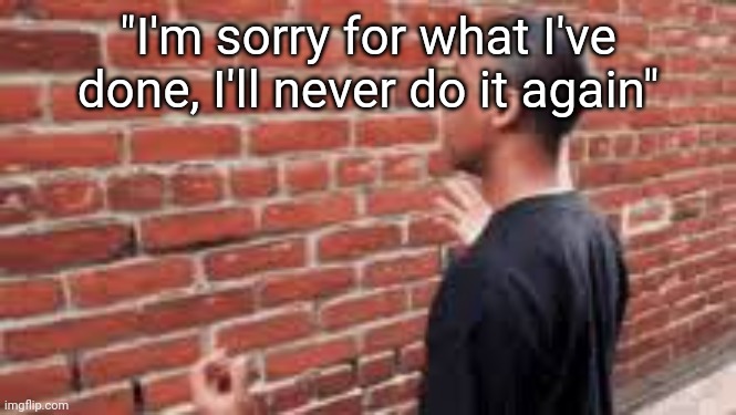 Me slander | "I'm sorry for what I've done, I'll never do it again" | made w/ Imgflip meme maker