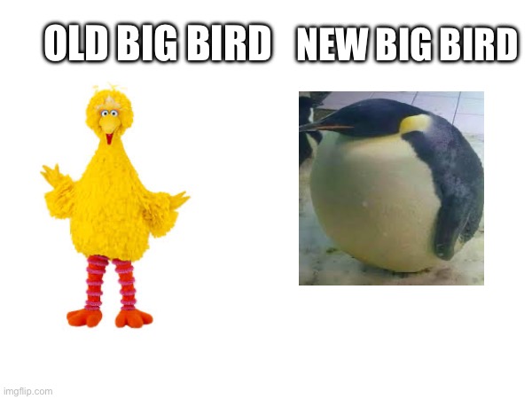 NEW BIG BIRD; OLD BIG BIRD | image tagged in im the biggest bird,memes | made w/ Imgflip meme maker