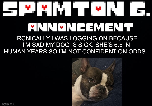 Spamton announcement temp | IRONICALLY I WAS LOGGING ON BECAUSE I’M SAD MY DOG IS SICK. SHE’S 6.5 IN HUMAN YEARS SO I’M NOT CONFIDENT ON ODDS. | image tagged in spamton announcement temp | made w/ Imgflip meme maker