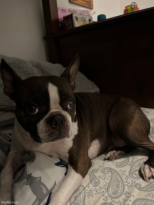 :( | made w/ Imgflip meme maker