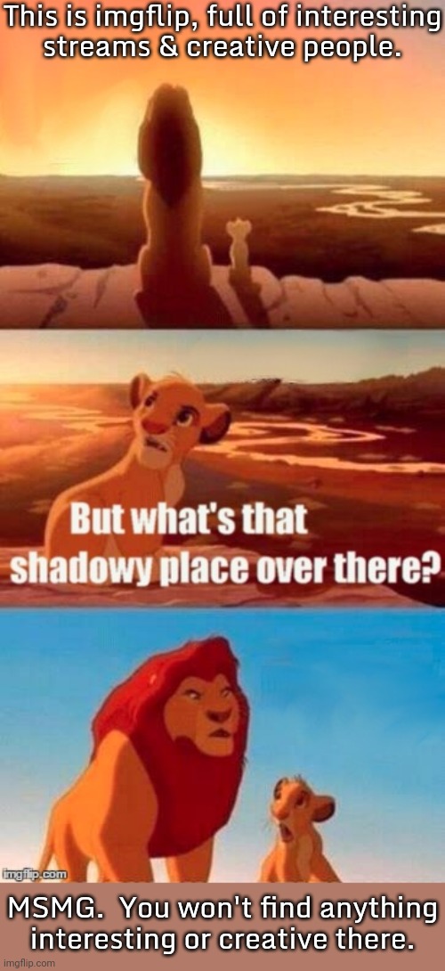 Don't go there. | This is imgflip, full of interesting
streams & creative people. MSMG.  You won't find anything interesting or creative there. | image tagged in simba shadowy place,what the heck did you just bring upon this cursed land,imgflip trolls | made w/ Imgflip meme maker