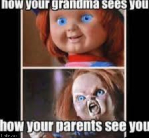 true | image tagged in so true memes,chucky | made w/ Imgflip meme maker