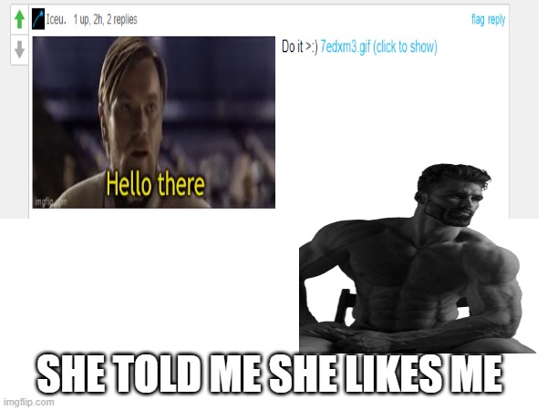 didnt expect it | SHE TOLD ME SHE LIKES ME | image tagged in iceu,wow | made w/ Imgflip meme maker