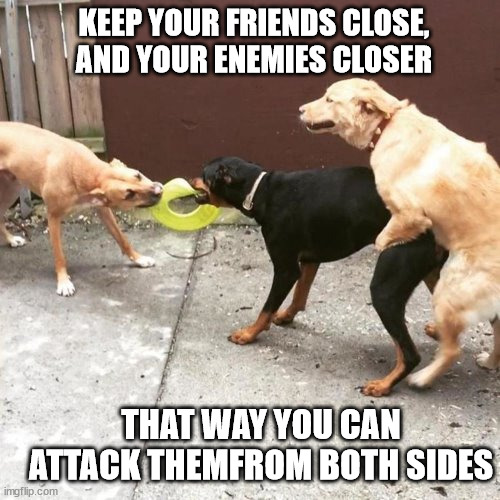 Friends & Enemies | KEEP YOUR FRIENDS CLOSE, AND YOUR ENEMIES CLOSER; THAT WAY YOU CAN ATTACK THEMFROM BOTH SIDES | image tagged in stratagy,friends,enemies,tactics,lucky,dogs | made w/ Imgflip meme maker