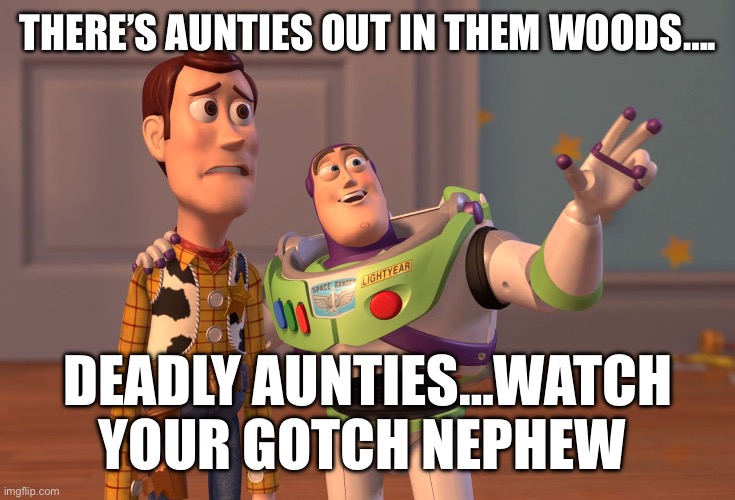 X, X Everywhere Meme | THERE’S AUNTIES OUT IN THEM WOODS…. DEADLY AUNTIES…WATCH YOUR GOTCH NEPHEW | image tagged in memes,x x everywhere | made w/ Imgflip meme maker