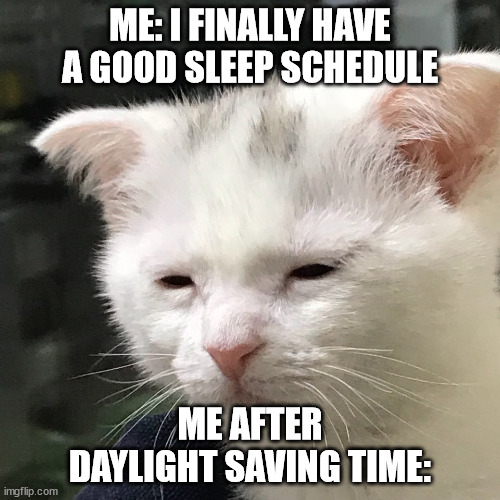Spring forward again? | ME: I FINALLY HAVE A GOOD SLEEP SCHEDULE; ME AFTER DAYLIGHT SAVING TIME: | image tagged in i'm awake but at what cost,daylight savings time | made w/ Imgflip meme maker