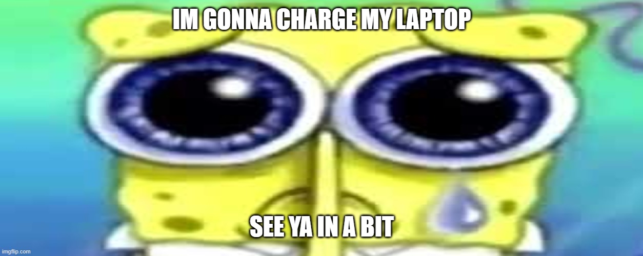 Sad Spong | IM GONNA CHARGE MY LAPTOP; SEE YA IN A BIT | image tagged in sad spong | made w/ Imgflip meme maker