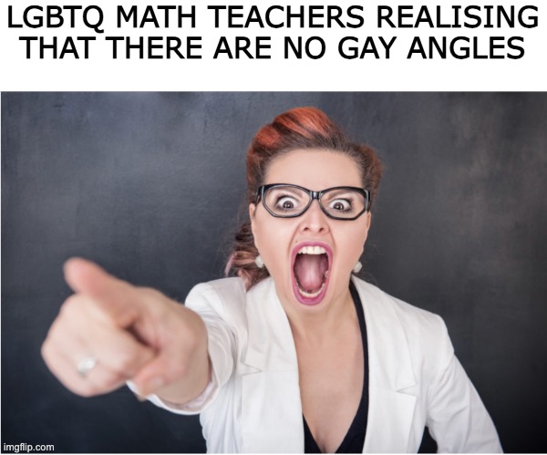 am i being sexist | LGBTQ MATH TEACHERS REALISING THAT THERE ARE NO GAY ANGLES | image tagged in angry karen | made w/ Imgflip meme maker