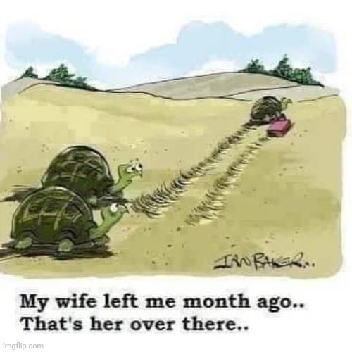Turtl | Gw7yfygrseiy7frgew7ryifgrfiy7yerwvri7yfgw3i7yg3fy7w3ifrgr7ify3gw2i7fryegrfeoufygeouryfgo7yf3rgkfyw3rg2ofy3fvr3wk2f3rv23r27k3ryf33tgk7y3etyfo7yetfoyverfo7yrvg3o7yfg3r7oy33rg3o3t7ygfyo7getetg7oyvteror7ygtgoy7teyftvo7yrvgt7hofgev3ee7ohgthve3tgg7oyvgtego7yggteek3gytg37otgy33get7og3yge547oyrgg57oytggo7yyvrte7oyvtrgeo7yrvvg7toryeo7rygetv7goytvgt47oeyvtefr7oygefto7ytgerg | image tagged in tortoise,slow,wife,green,shell | made w/ Imgflip meme maker