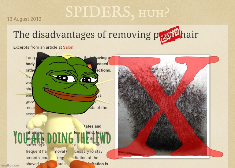 SPIDERS, huh? You are doing the lewd X | made w/ Imgflip meme maker