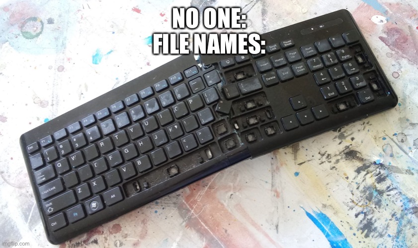 Smashed Keyboard | NO ONE:
FILE NAMES: | image tagged in smashed keyboard | made w/ Imgflip meme maker