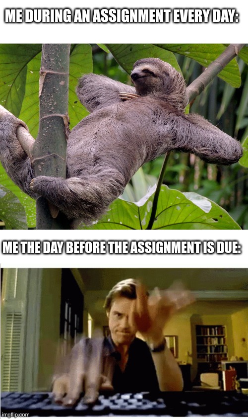 Yeah and my ADHD makes it worse. | ME DURING AN ASSIGNMENT EVERY DAY:; ME THE DAY BEFORE THE ASSIGNMENT IS DUE: | image tagged in sloth chill,typing fast,memes,relateable | made w/ Imgflip meme maker