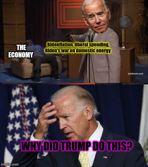 Why? Why did Trump force me to wreck the economy? | Bidenflation, liberal spending, Biden's war on domestic energy; THE ECONOMY; WHY DID TRUMP DO THIS? | image tagged in memes,who killed hannibal,joe biden worries,this is all,trumps fault | made w/ Imgflip meme maker