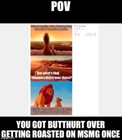 Just pointing out the facts | POV; YOU GOT BUTTHURT OVER GETTING ROASTED ON MSMG ONCE | made w/ Imgflip meme maker