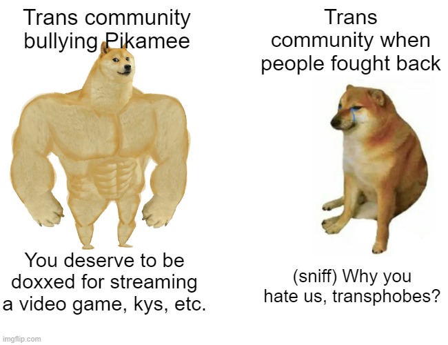 Buff Doge vs. Cheems | Trans community bullying Pikamee; Trans community when people fought back; You deserve to be doxxed for streaming a video game, kys, etc. (sniff) Why you hate us, transphobes? | image tagged in memes,buff doge vs cheems | made w/ Imgflip meme maker