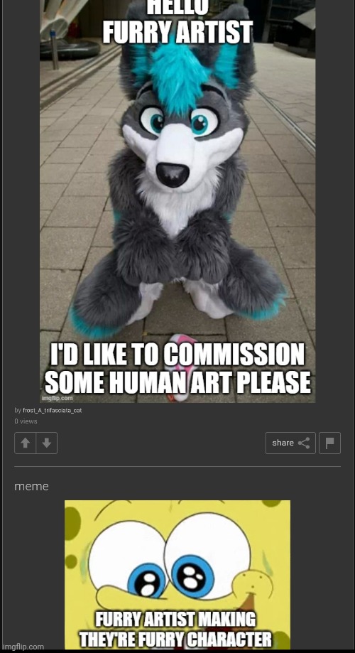 Bro, a furry and an anti furry post at the same time bruh | made w/ Imgflip meme maker