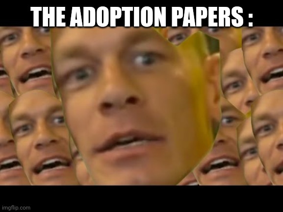 Are you sure about that | THE ADOPTION PAPERS : | image tagged in are you sure about that | made w/ Imgflip meme maker