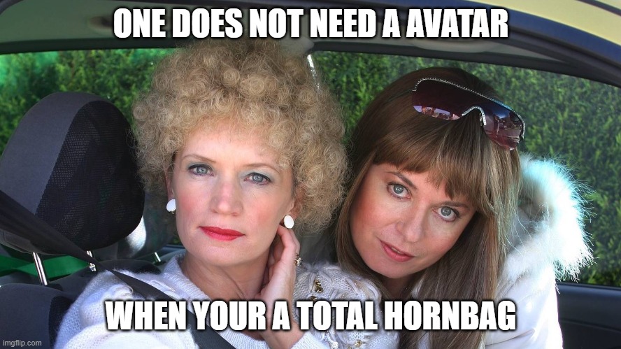 Kath and Kim | ONE DOES NOT NEED A AVATAR; WHEN YOUR A TOTAL HORNBAG | image tagged in kath and kim | made w/ Imgflip meme maker