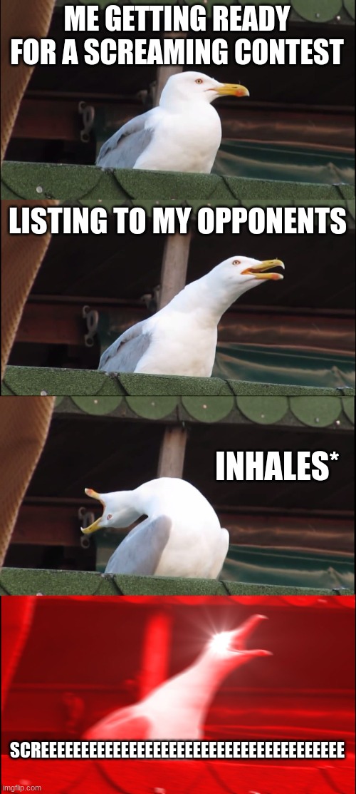 Inhaling Seagull | ME GETTING READY FOR A SCREAMING CONTEST; LISTING TO MY OPPONENTS; INHALES*; SCREEEEEEEEEEEEEEEEEEEEEEEEEEEEEEEEEEEEEE | image tagged in memes,inhaling seagull | made w/ Imgflip meme maker