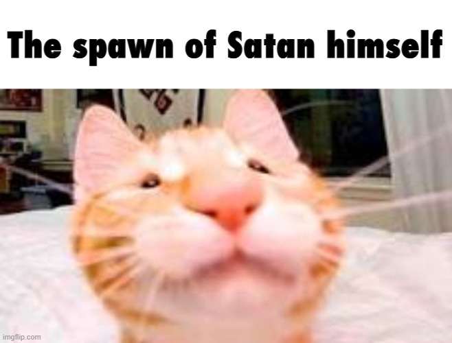 The spawn of Satan himself | made w/ Imgflip meme maker