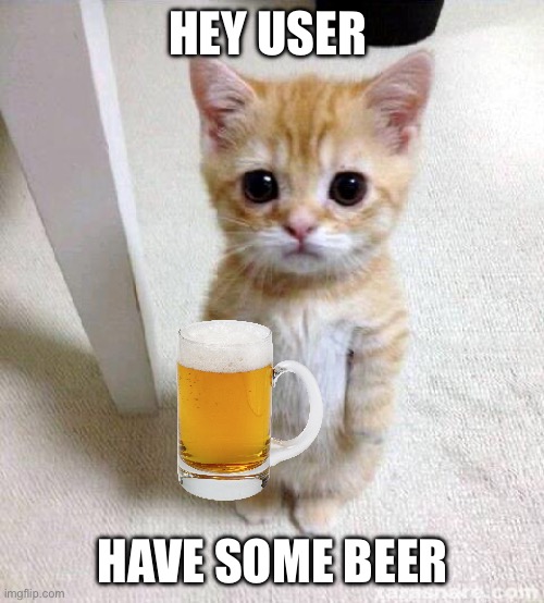 Have some beer | HEY USER; HAVE SOME BEER | image tagged in memes,cute cat | made w/ Imgflip meme maker