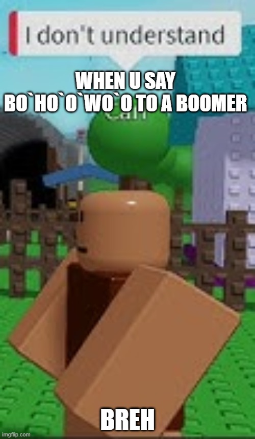 only science lovers understand | WHEN U SAY BO`HO`O`WO`O TO A BOOMER; BREH | image tagged in i don't understand,gen z,baby boomers | made w/ Imgflip meme maker