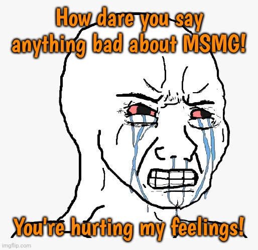 They can dish it out, but they can't take it. | How dare you say anything bad about MSMG! You're hurting my feelings! | image tagged in troll angry crying,special snowflake,entitlement,karma | made w/ Imgflip meme maker