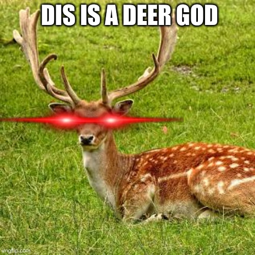 DIS IS A DEER GOD | made w/ Imgflip meme maker