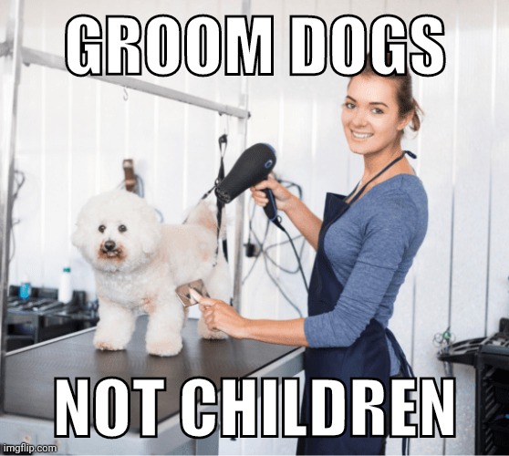 Groom Dogs, Not Children | GROOM DOGS; NOT CHILDREN | image tagged in funny | made w/ Imgflip meme maker