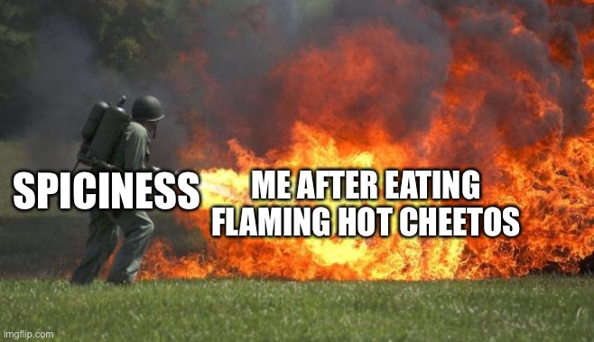 flamethrower | SPICINESS; ME AFTER EATING FLAMING HOT CHEETOS | image tagged in flamethrower | made w/ Imgflip meme maker