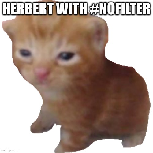 :D | HERBERT WITH #NOFILTER | image tagged in herbert | made w/ Imgflip meme maker