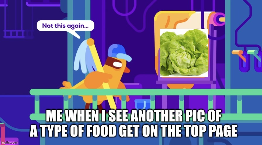 lceu dont do it agin | ME WHEN I SEE ANOTHER PIC OF A TYPE OF FOOD GET ON THE TOP PAGE | image tagged in not this again | made w/ Imgflip meme maker