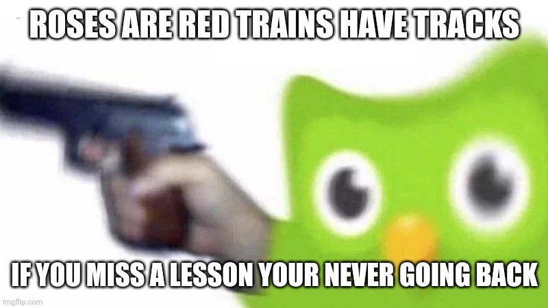 Welp I'm gonna die | ROSES ARE RED TRAINS HAVE TRACKS; IF YOU MISS A LESSON YOUR NEVER GOING BACK | image tagged in duolingo gun | made w/ Imgflip meme maker