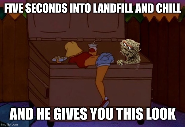 FIVE SECONDS INTO LANDFILL AND CHILL; AND HE GIVES YOU THIS LOOK | image tagged in king of the hill | made w/ Imgflip meme maker