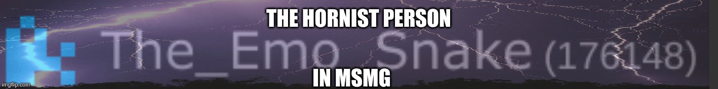 the horniest person in msmg | THE HORNIST PERSON; IN MSMG | made w/ Imgflip meme maker