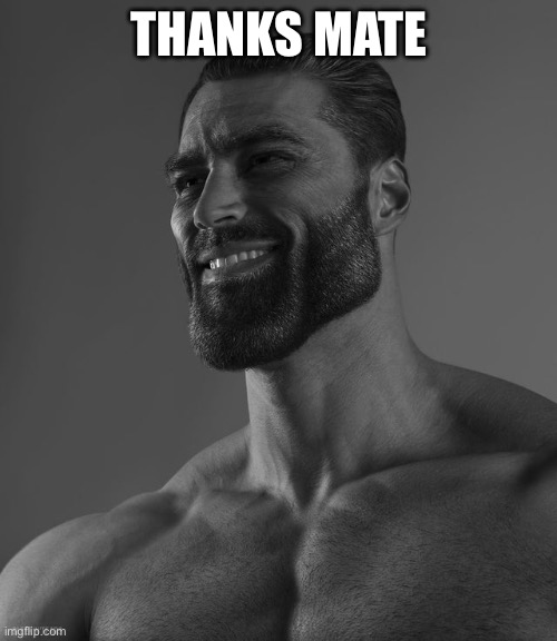 THANKS MATE | image tagged in giga chad | made w/ Imgflip meme maker