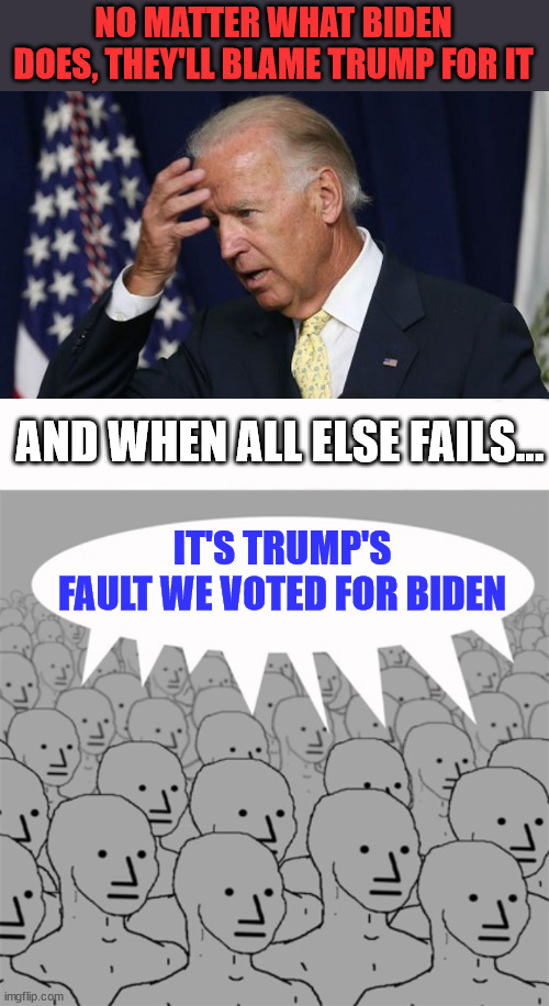 They can't handle the truth... | NO MATTER WHAT BIDEN DOES, THEY'LL BLAME TRUMP FOR IT; AND WHEN ALL ELSE FAILS... IT'S TRUMP'S FAULT WE VOTED FOR BIDEN | image tagged in joe biden worries,npcprogramscreed,democrats,failure | made w/ Imgflip meme maker