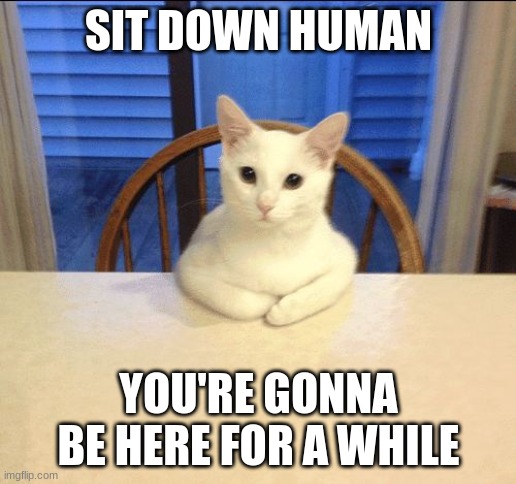 sit down human | SIT DOWN HUMAN YOU'RE GONNA BE HERE FOR A WHILE | image tagged in sit down human | made w/ Imgflip meme maker