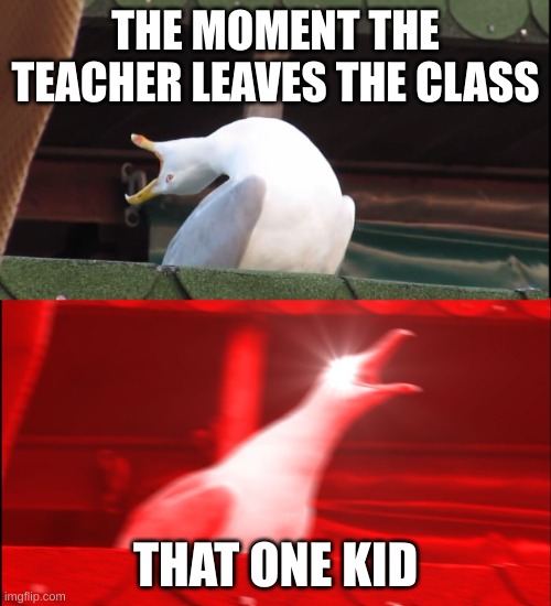 Screaming kid | THE MOMENT THE TEACHER LEAVES THE CLASS; THAT ONE KID | image tagged in screaming bird | made w/ Imgflip meme maker