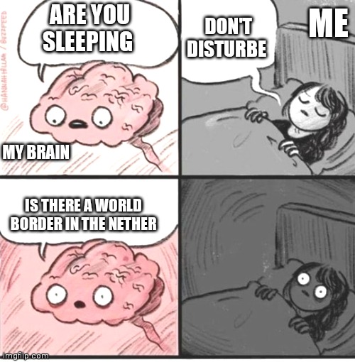 Sorry if anyone already created this meme | ME; ARE YOU SLEEPING; DON'T DISTURBE; MY BRAIN; IS THERE A WORLD BORDER IN THE NETHER | image tagged in trying to sleep | made w/ Imgflip meme maker